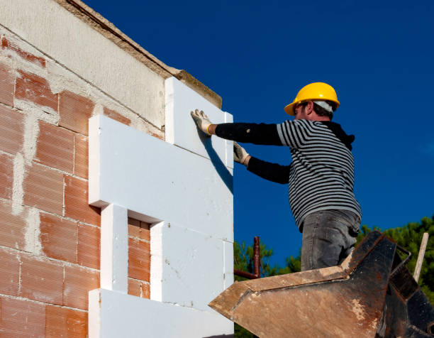 Best Insulation Maintenance and Repair in Lovelock, NV