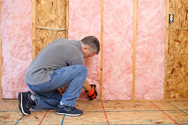 Best Geographic-Specific Insulation Services in Lovelock, NV